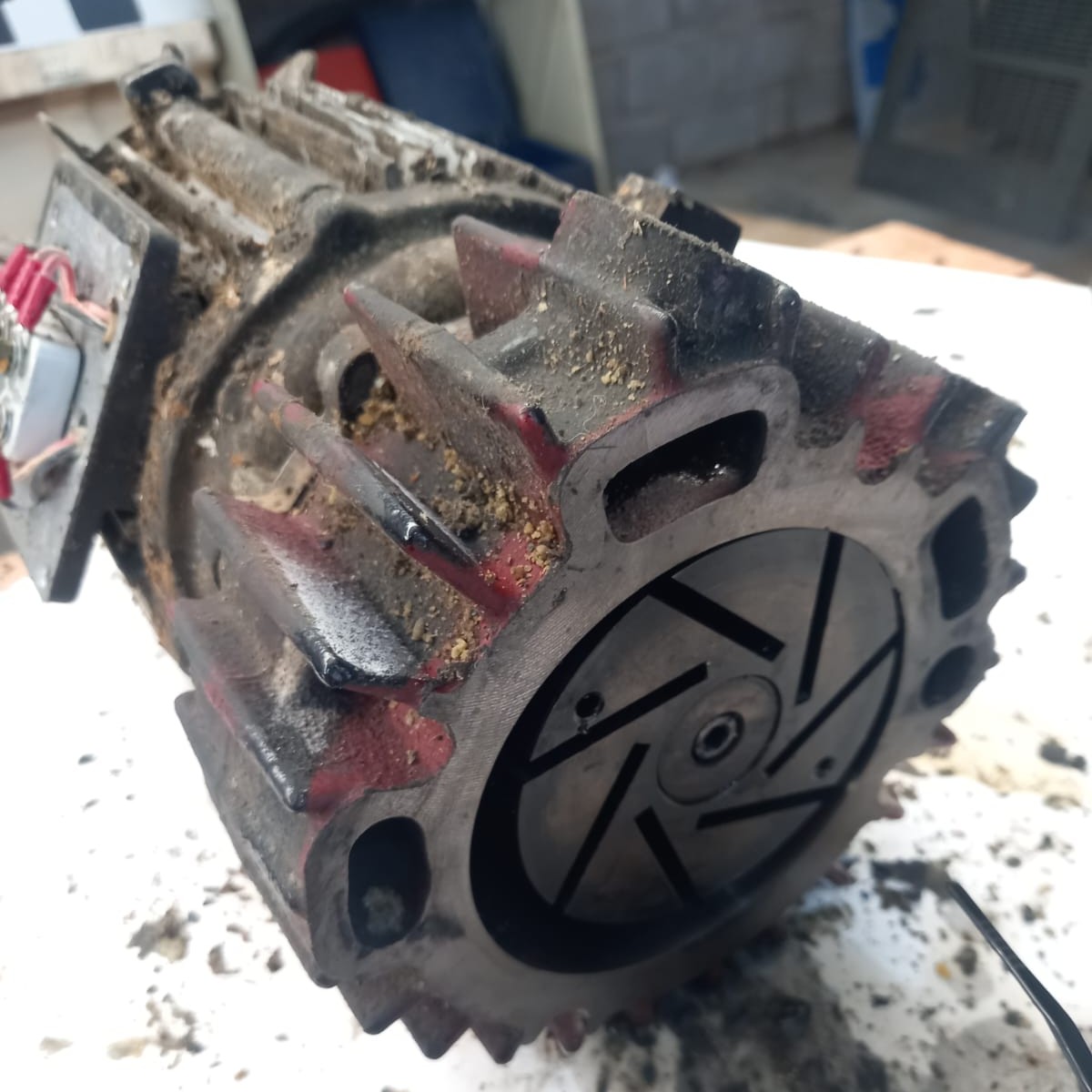 WhatsApp Image 2025-10-16 at 18.31.58