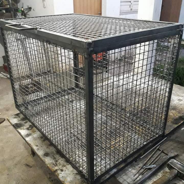 WhatsApp Image 2025-10-16 at 18.32.28 (2)